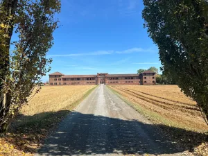 Oprijlaan naar historisch bakstenen landhuis tussen korenvelden