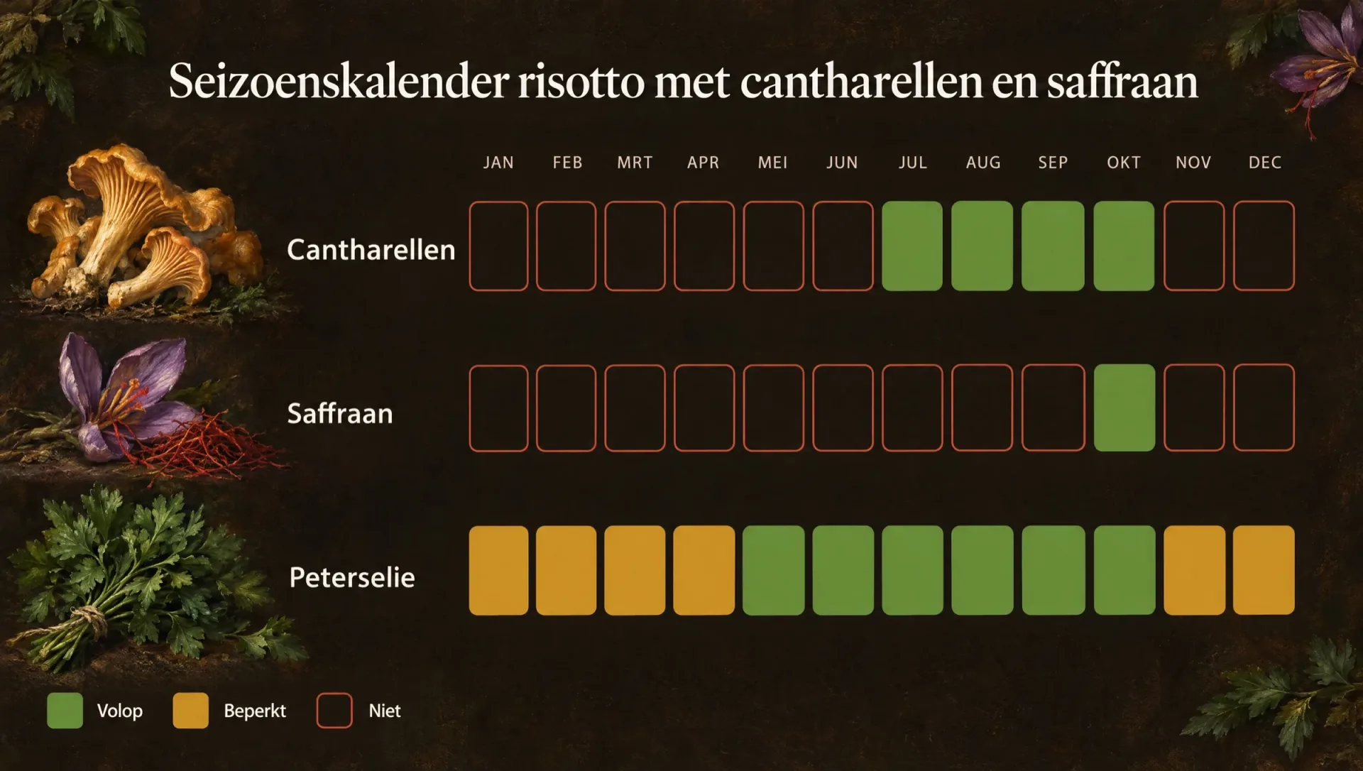 Seizoenskalender voor risotto met cantharellen en saffraan: cantharellen van juli tot oktober, saffraanoogst in oktober